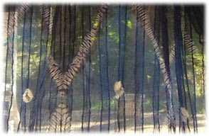 voile transparent du Mali